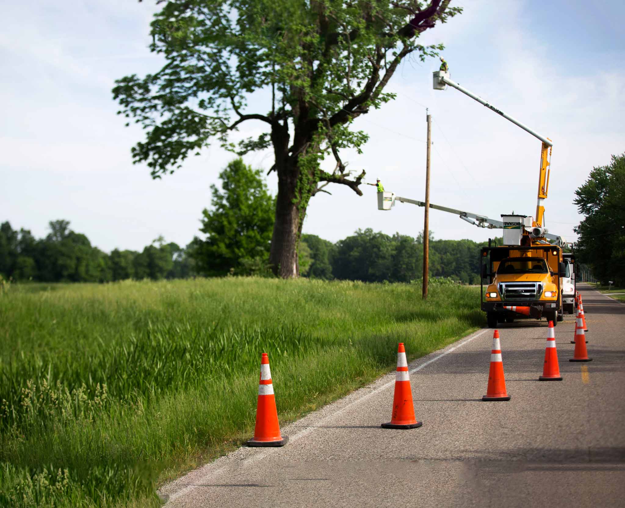 A tree trimming truck behind cones