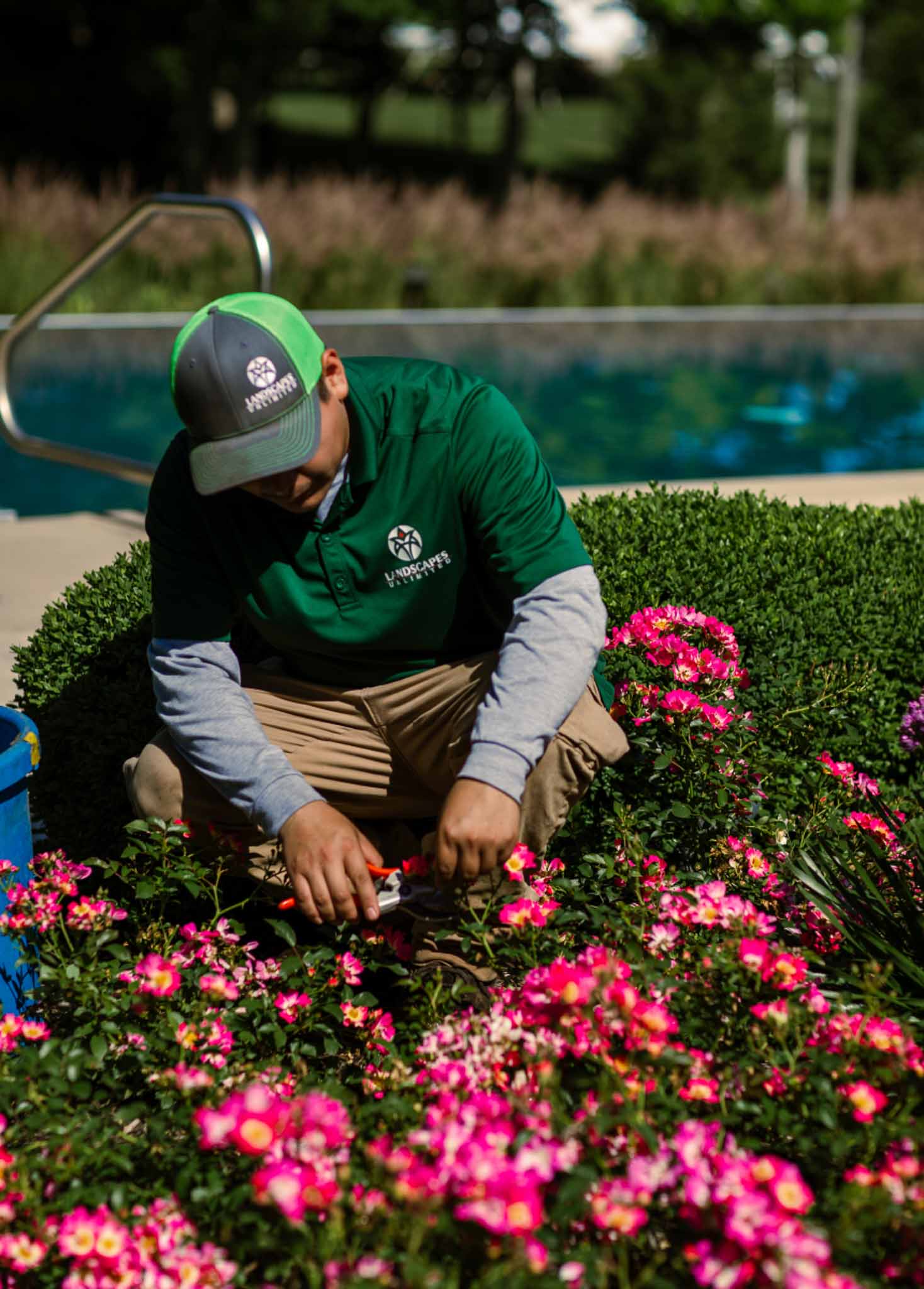 A landscaper planting flowers