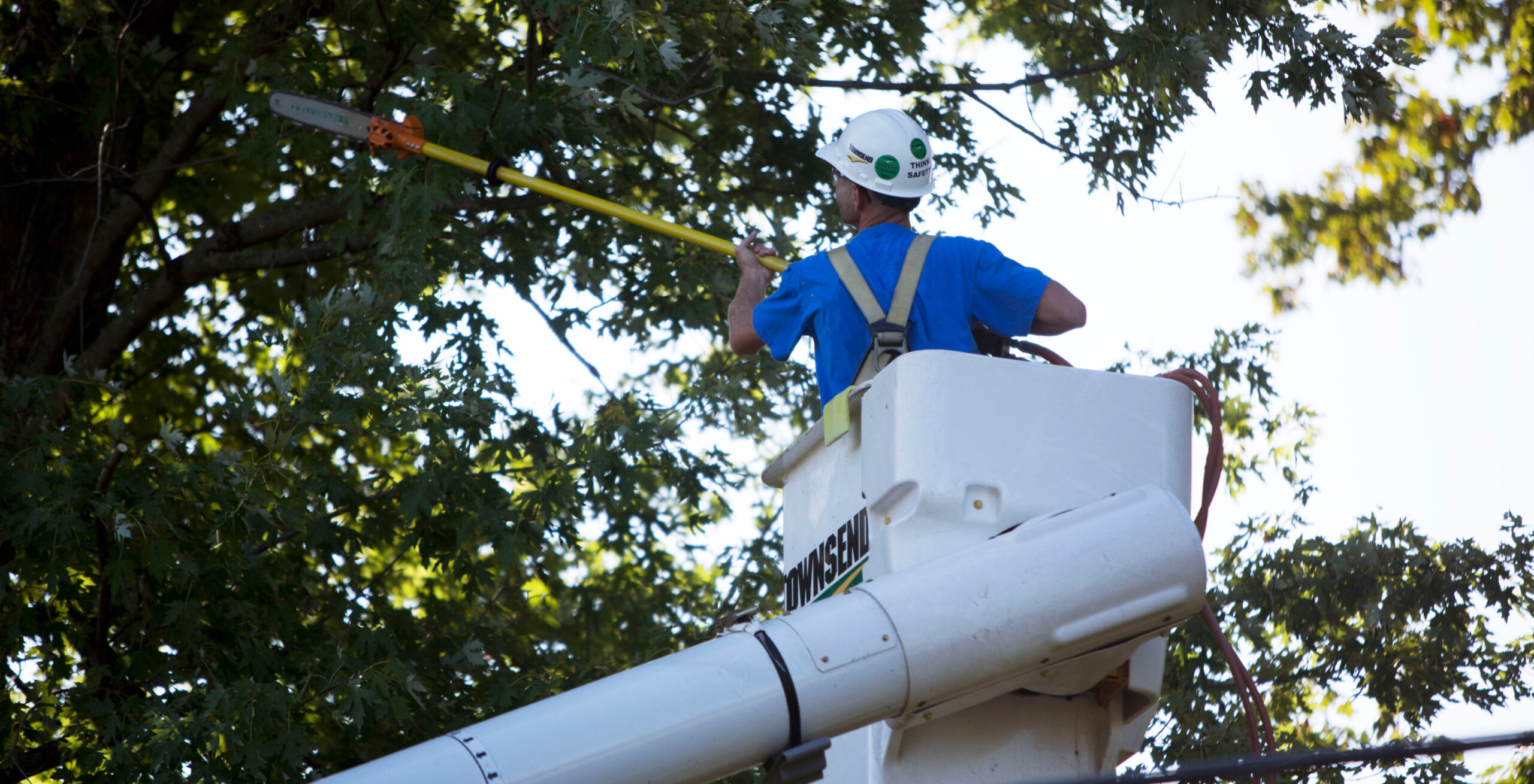 A tree trimmer in a bucket lift