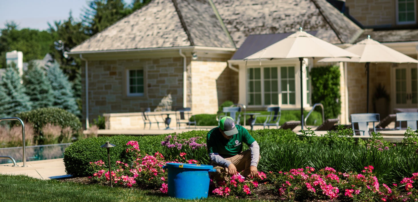 A landscaper planting flowers